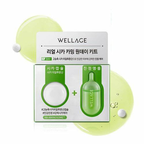 WELLAGE Real Cica Calming One Day Kit 1
